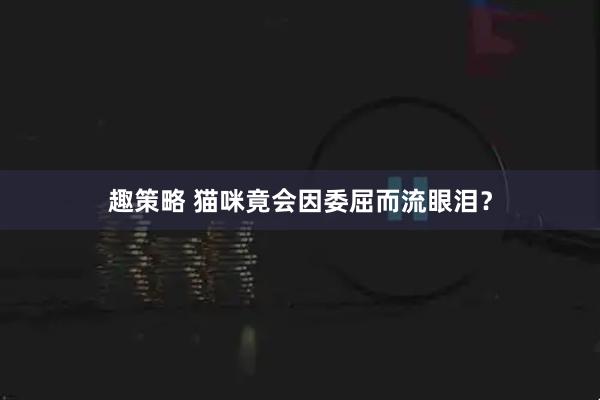 趣策略 猫咪竟会因委屈而流眼泪？