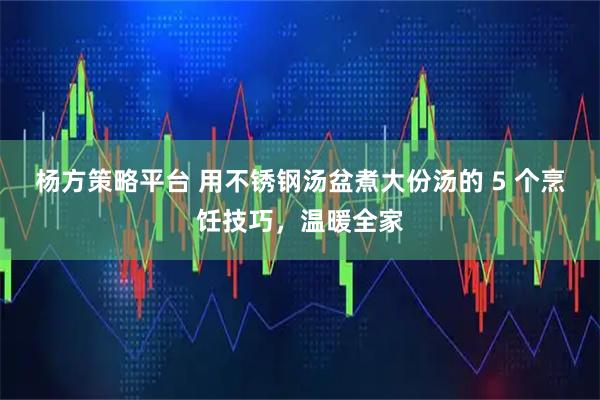 杨方策略平台 用不锈钢汤盆煮大份汤的 5 个烹饪技巧，温暖全家