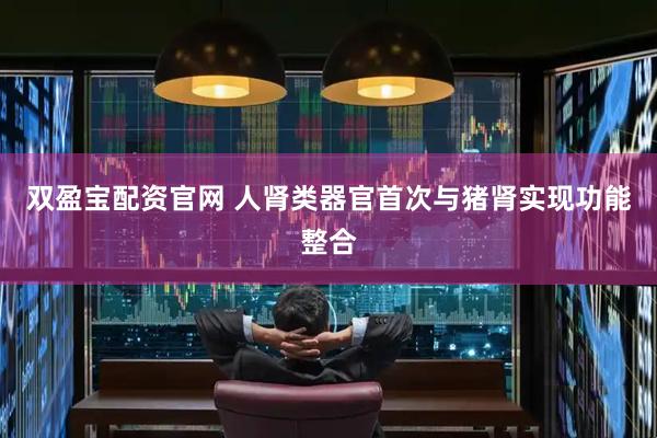 双盈宝配资官网 人肾类器官首次与猪肾实现功能整合