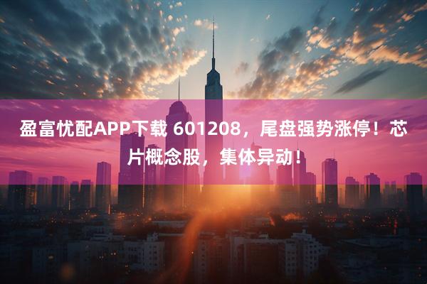盈富忧配APP下载 601208，尾盘强势涨停！芯片概念股，集体异动！